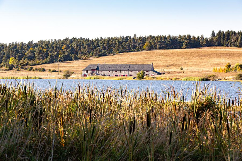 site