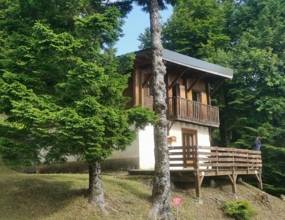 site