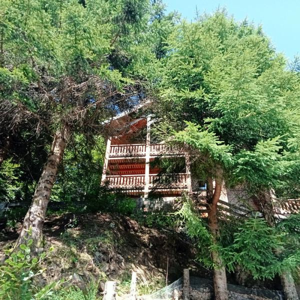 site