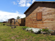 37981
