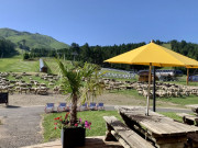 38556